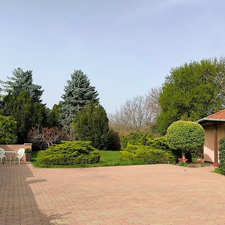 Korona Panzio Bed and Breakfast Balatonberény Exteriör bild