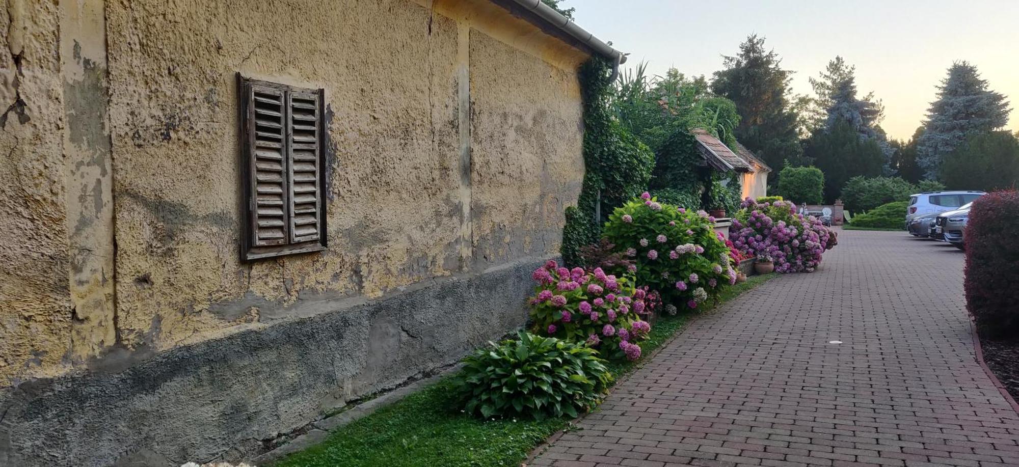 Korona Panzio Bed and Breakfast Balatonberény Exteriör bild