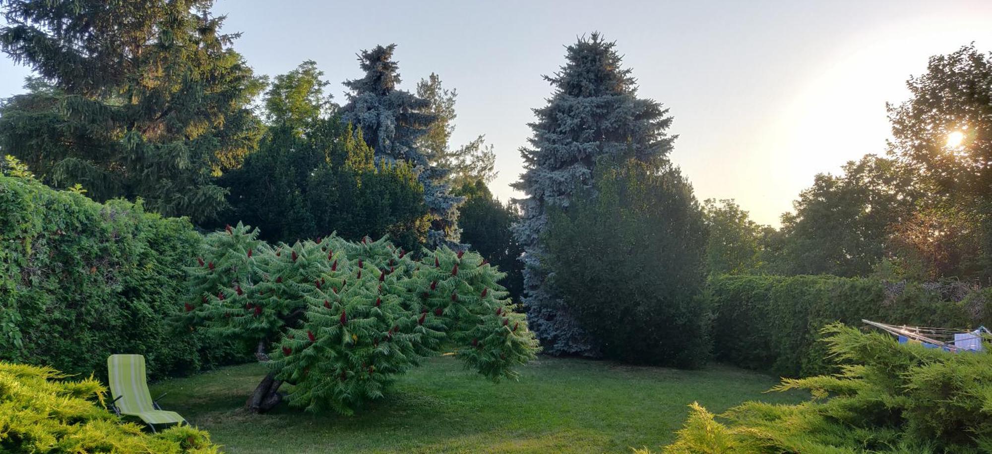 Korona Panzio Bed and Breakfast Balatonberény Exteriör bild