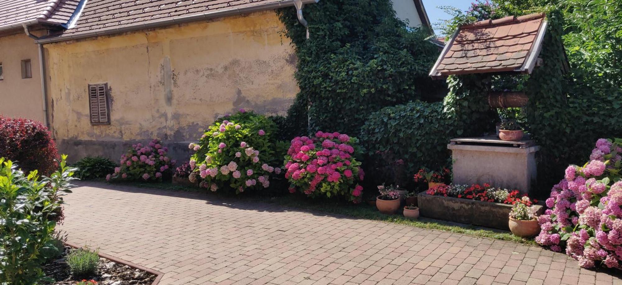 Korona Panzio Bed and Breakfast Balatonberény Exteriör bild
